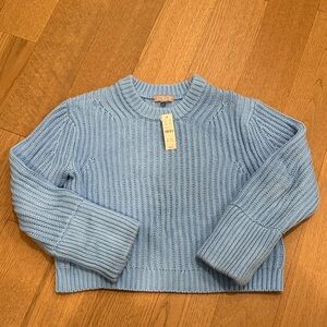 J. Crew Blue Ribbed Crew Neck Sweater